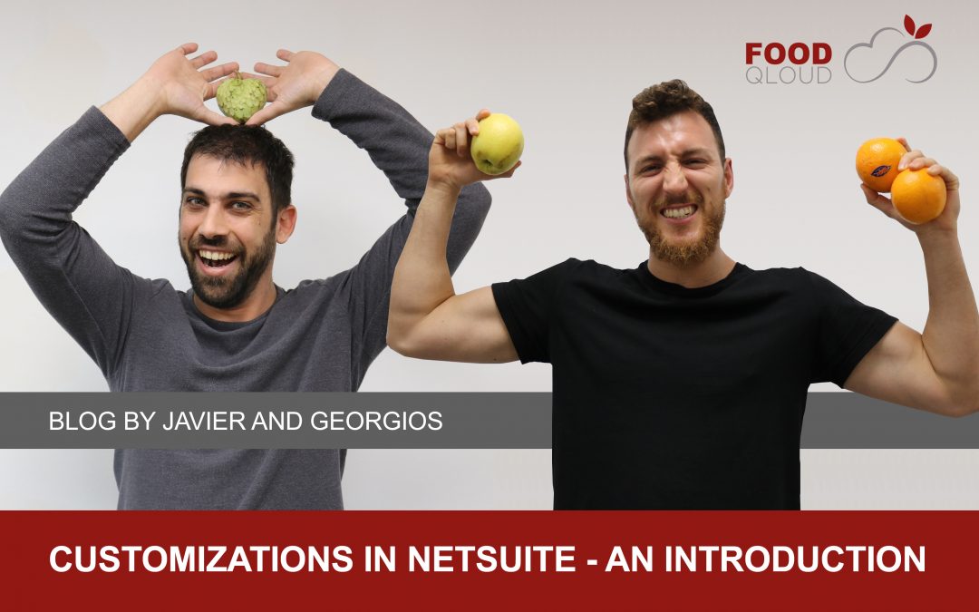 customizations in netsuite