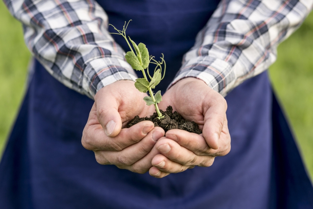 close-up-man-with-plant-sustainable-food-eco-agriculture-protein-foodqloud-netsuite