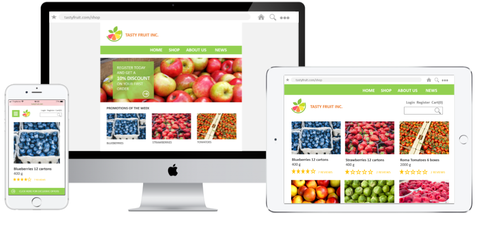 ecommerce webshop netsuite fresh produce agf fruit groente online verkoop sustainable food